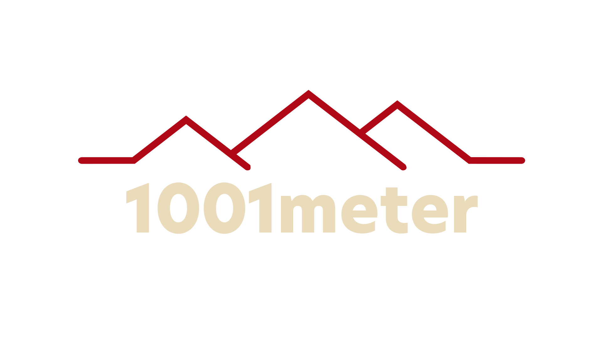 1001meter